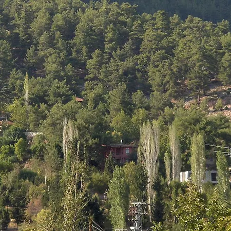 Palace * Beycik